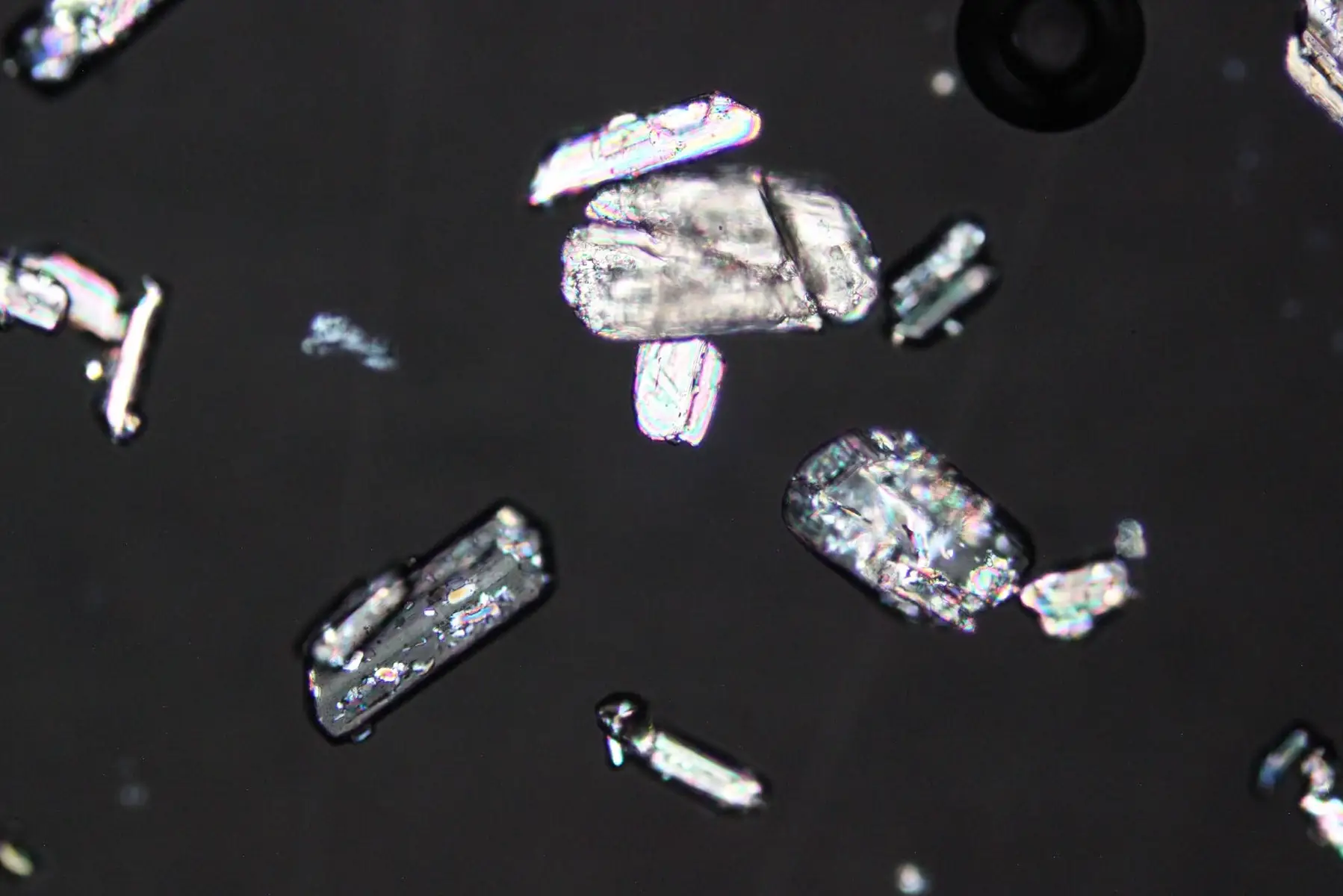 CBD Isolate 2.0 Magnification