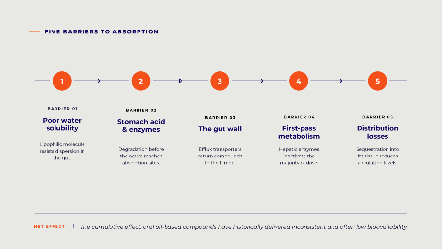 Five barriers to absorption.